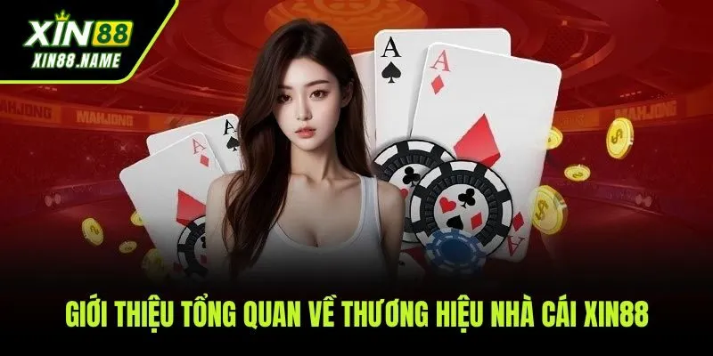 Giới thiệu về sự phát triển và tính hợp pháp của thương hiệu nhà cái XIN88